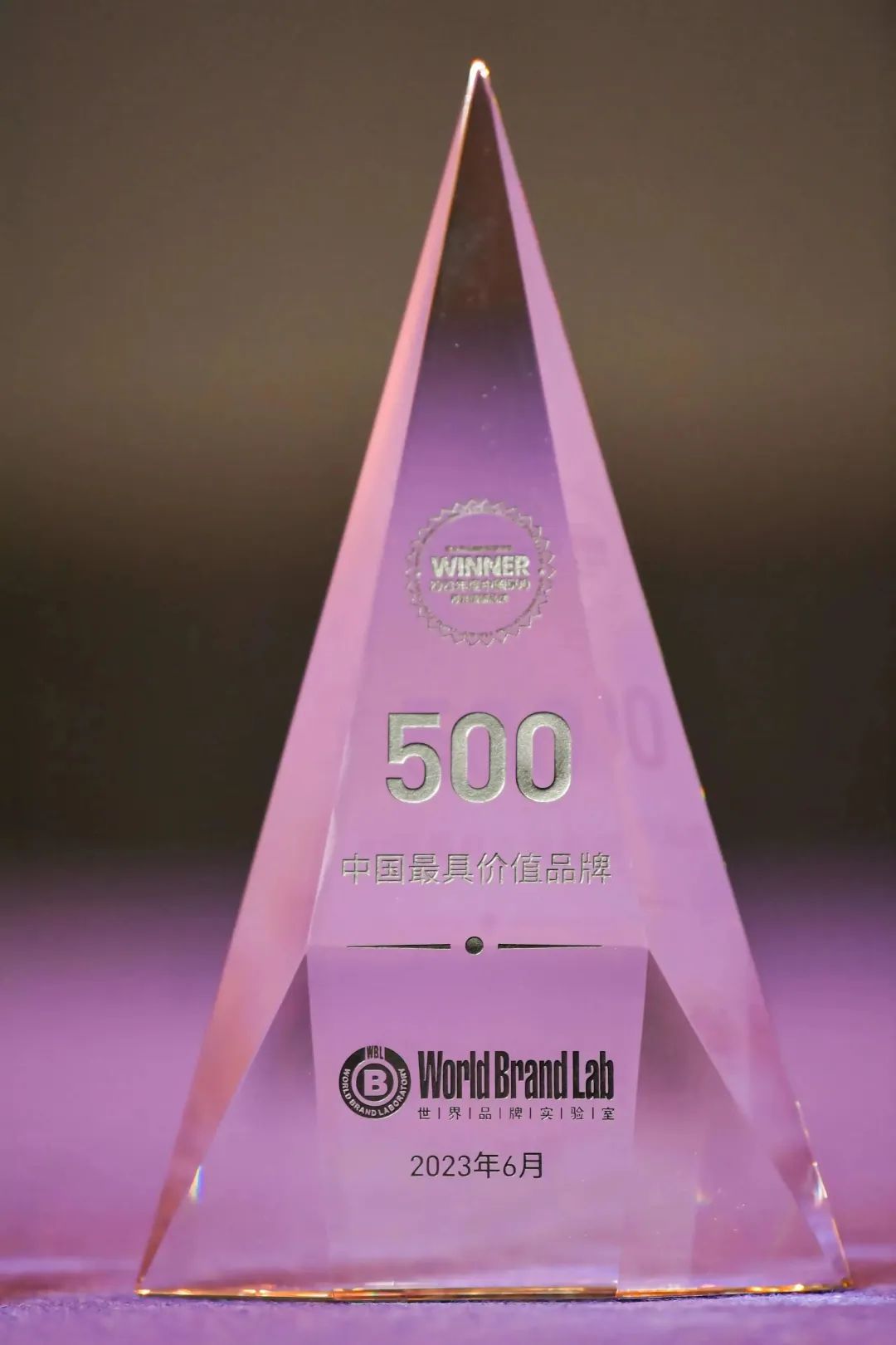 权威认证 888电子入选中国500最具价值品牌