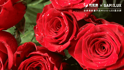 888电子(中国游)有限公司官网